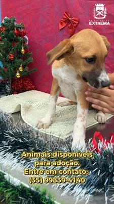 Post do instagram da Prefeitura de Mandirituba