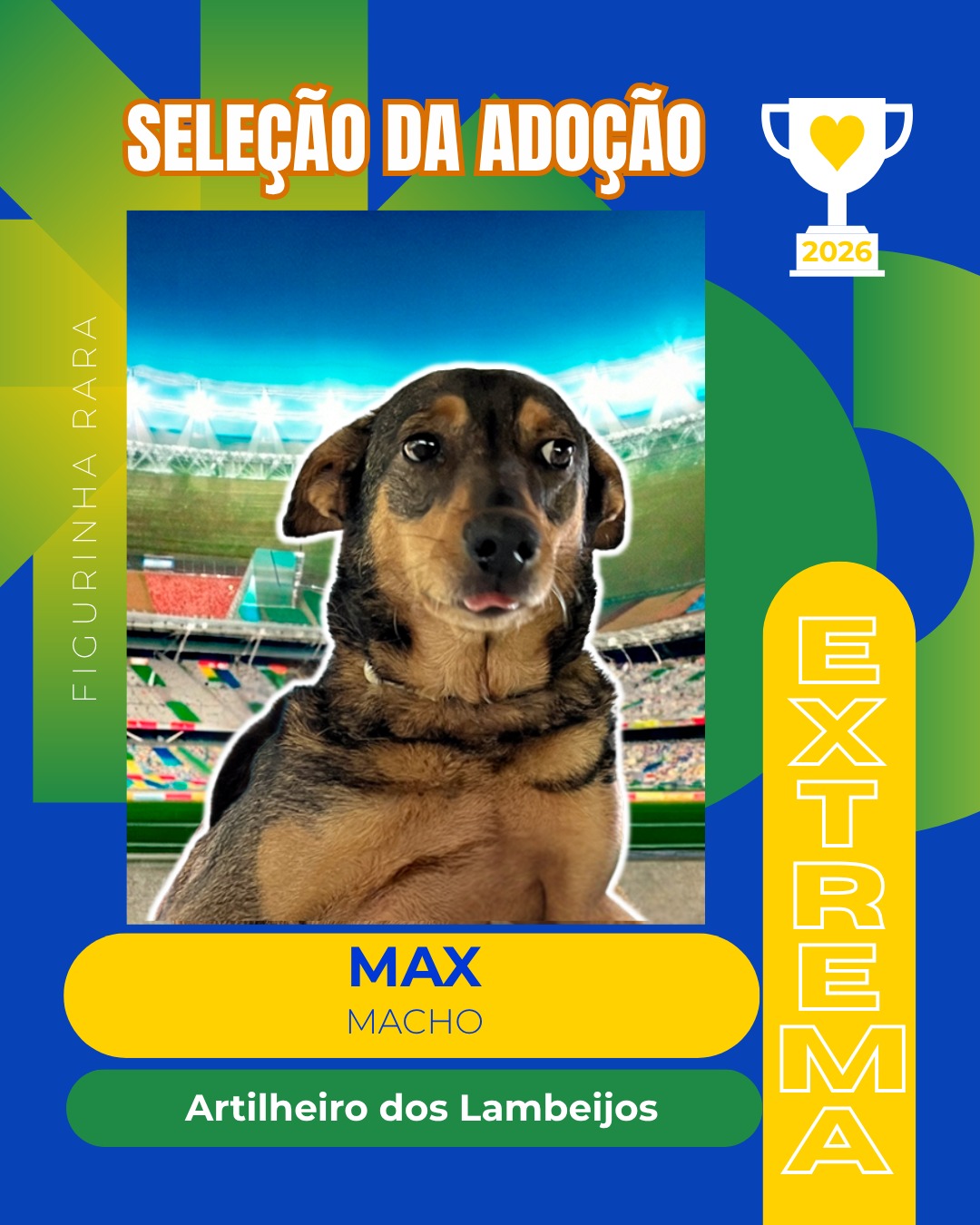 Post do instagram da Prefeitura de Mandirituba