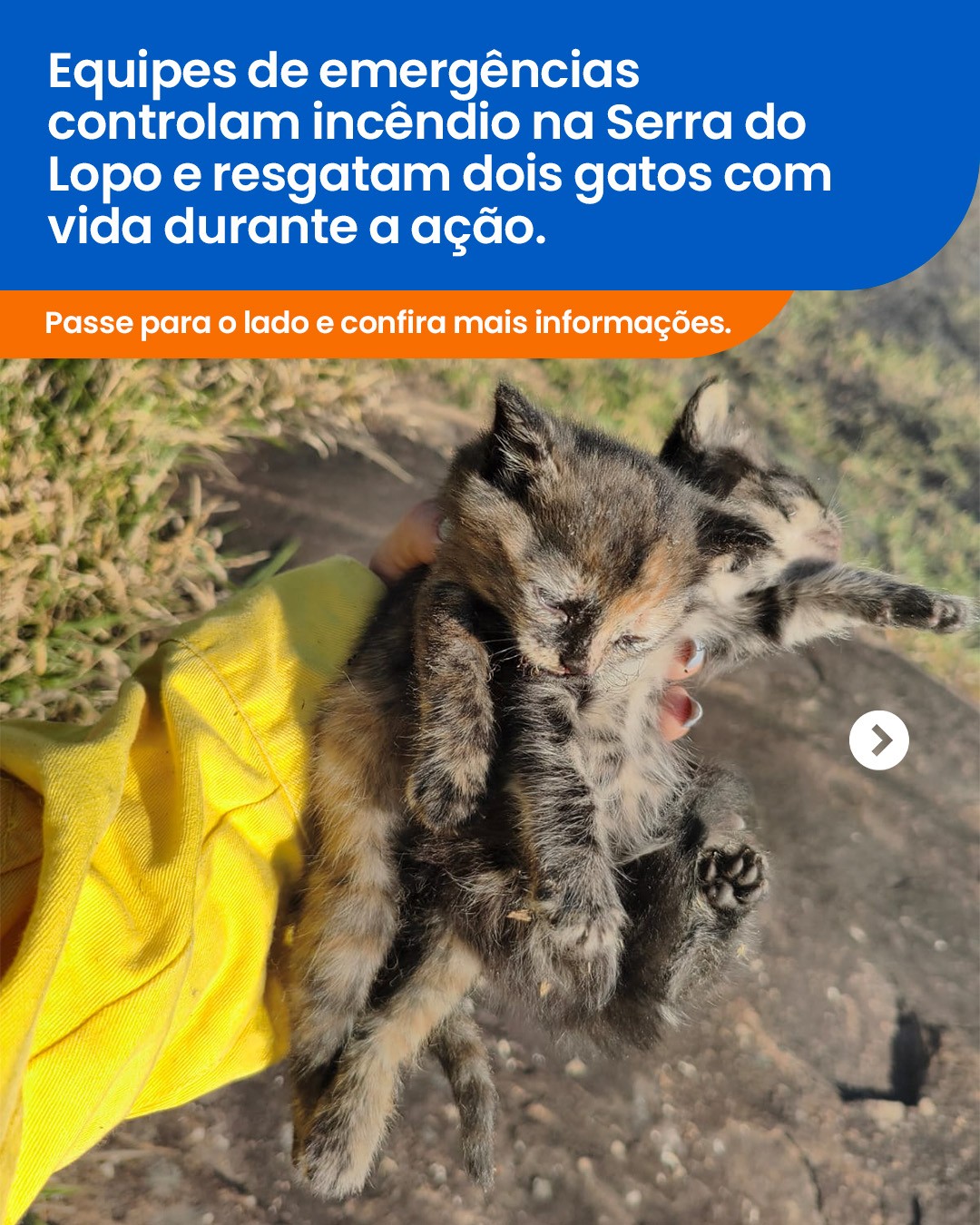 Post do instagram da Prefeitura de Mandirituba